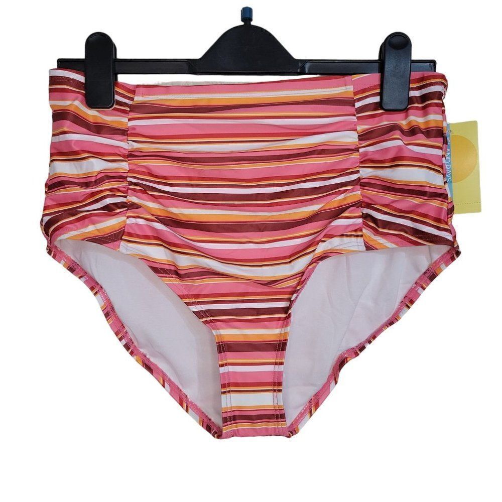 Island Rays Striped Bikini Bottom (Size 1X)